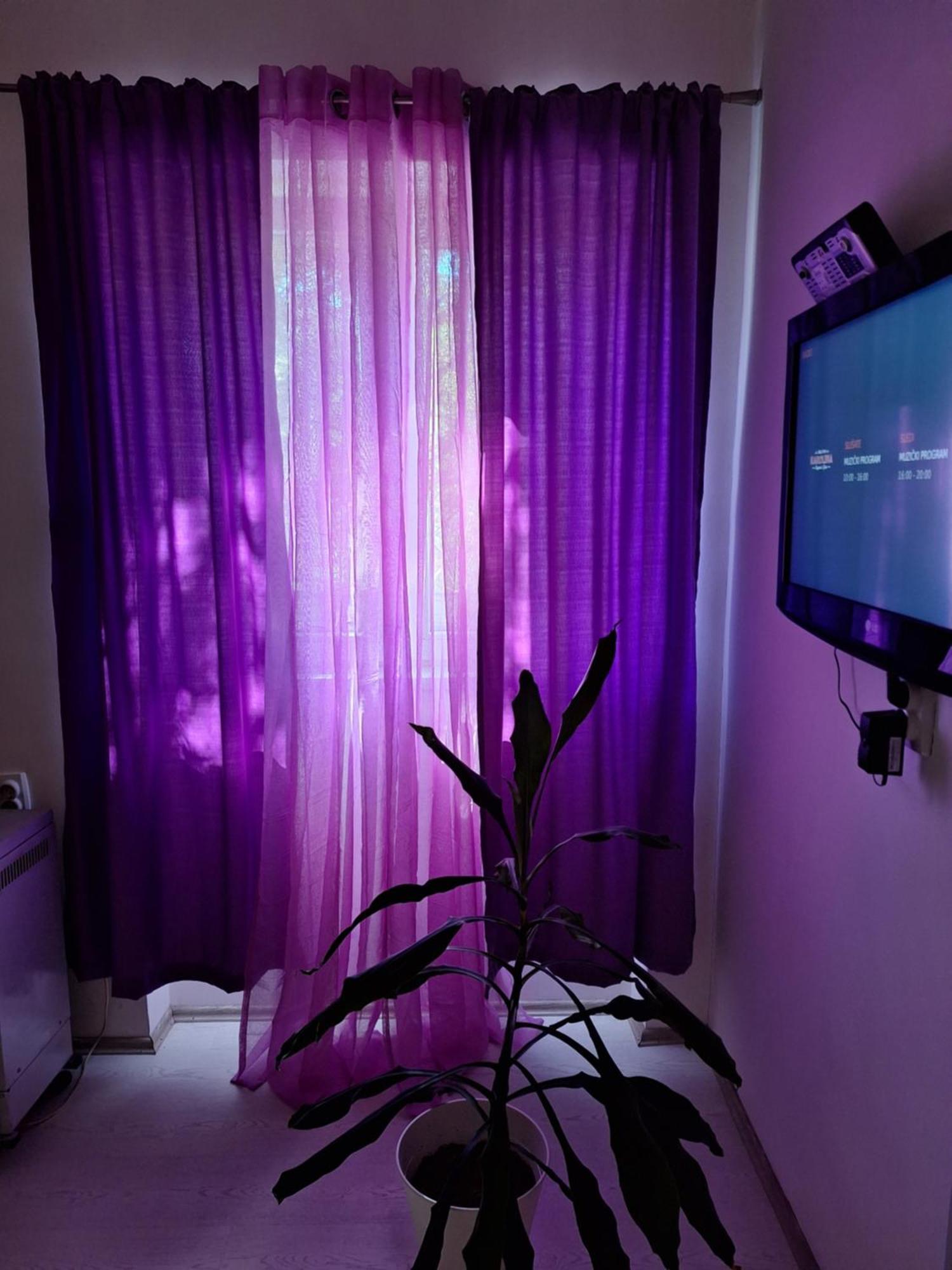 Apartman Maja Apartment Belgrade Luaran gambar