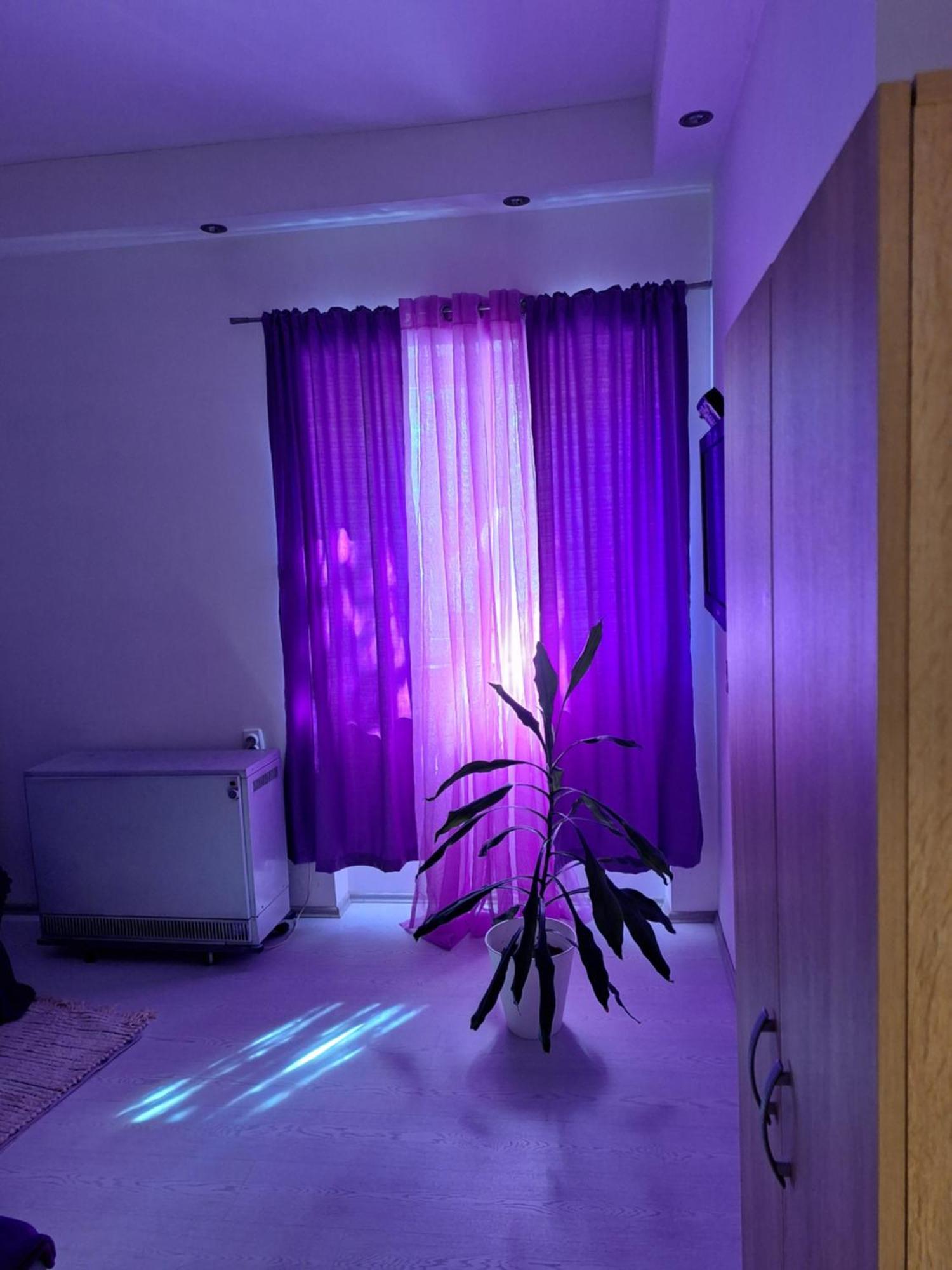 Apartman Maja Apartment Belgrade Luaran gambar